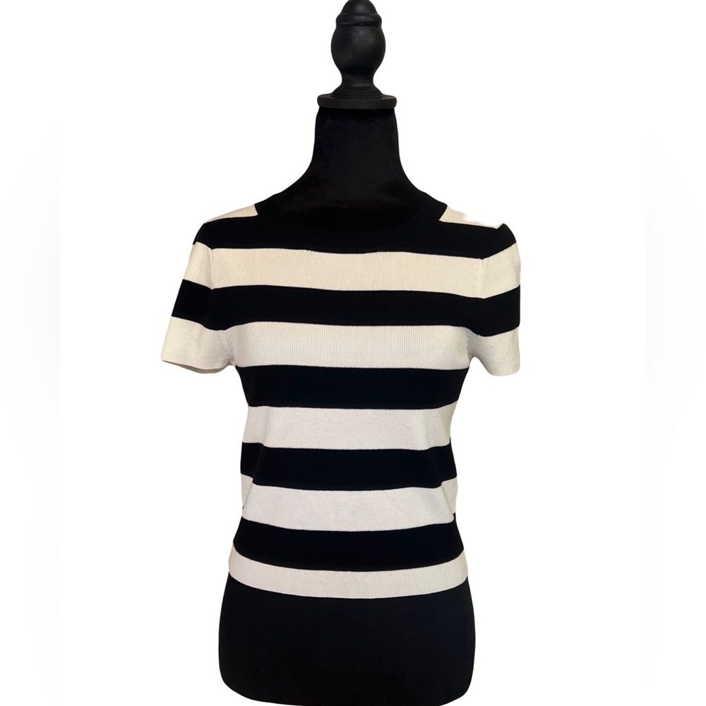 Short Sleeve Knit Crop Top